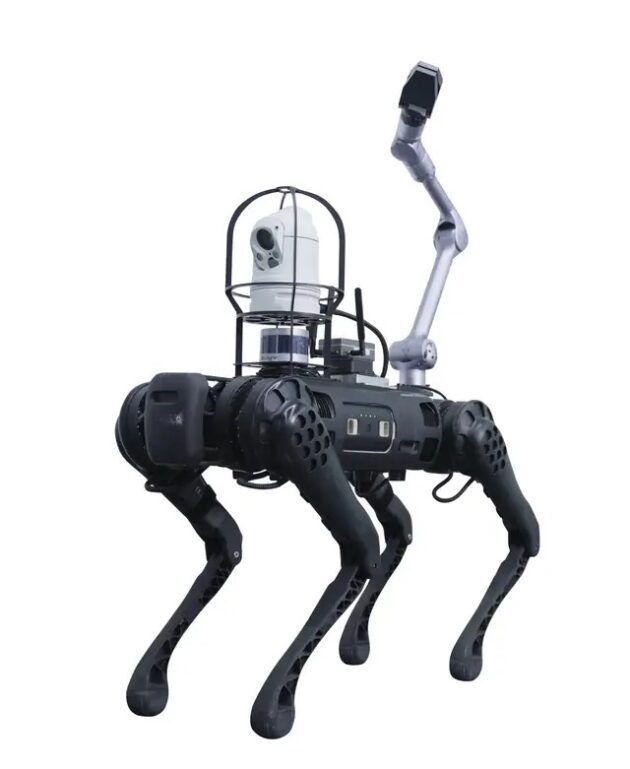 AI per, špeciálny robot unitree